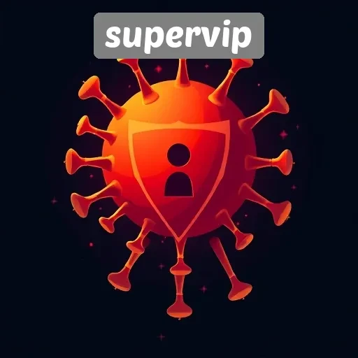 Analisis Keamanan Dan Privasi Pengguna Di Supervip
